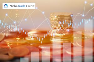 What is Trade Credit Insurance and Why Should You Care? | Niche Trade Credit Sydney