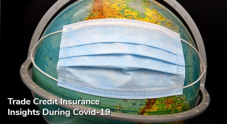 Trade Credit Insurance Insights During Covid-19 | Niche TC Australia